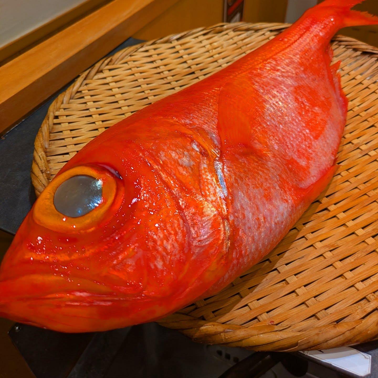 【狸小路×海鮮xGWxディナーx家族】本日のおすすめ《西鶴 狸小路店》restaurants/sushi/omakase…