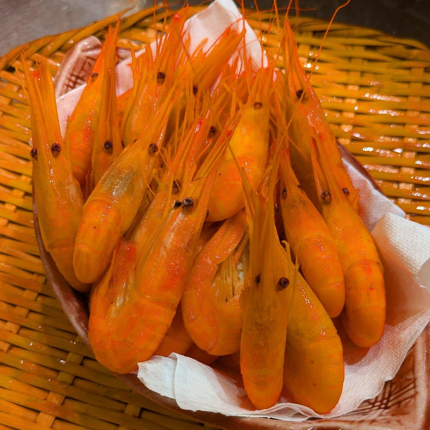 【狸小路×海鮮xディナーx家族】本日のおすすめ《西鶴 狸小路店》restaurants/sushi/omakase/스시…