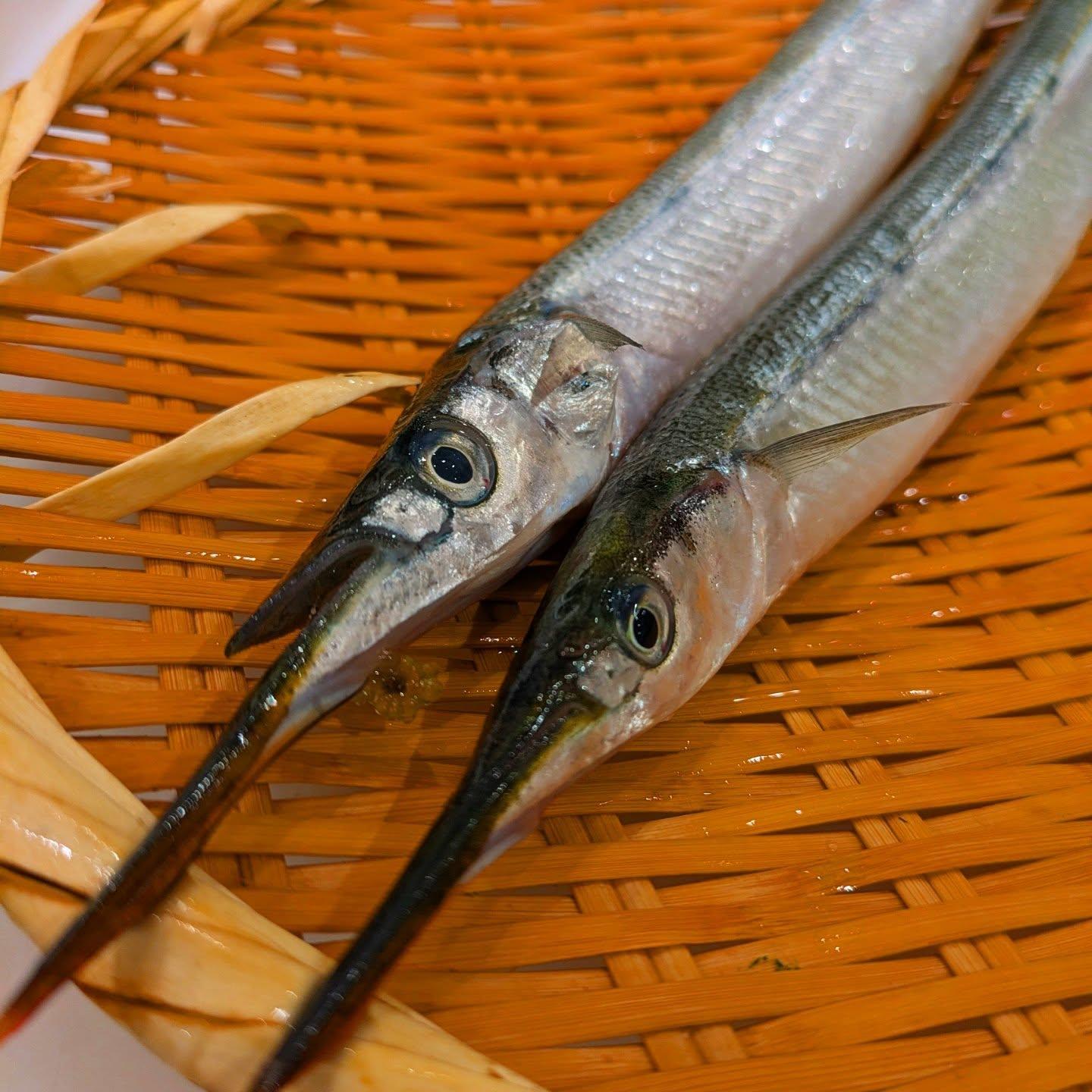 【狸小路×寿司x宴会x個室x子連れ】本日のおすすめ「さより」《西鶴 狸小路店》restaurants/sushi/oma…