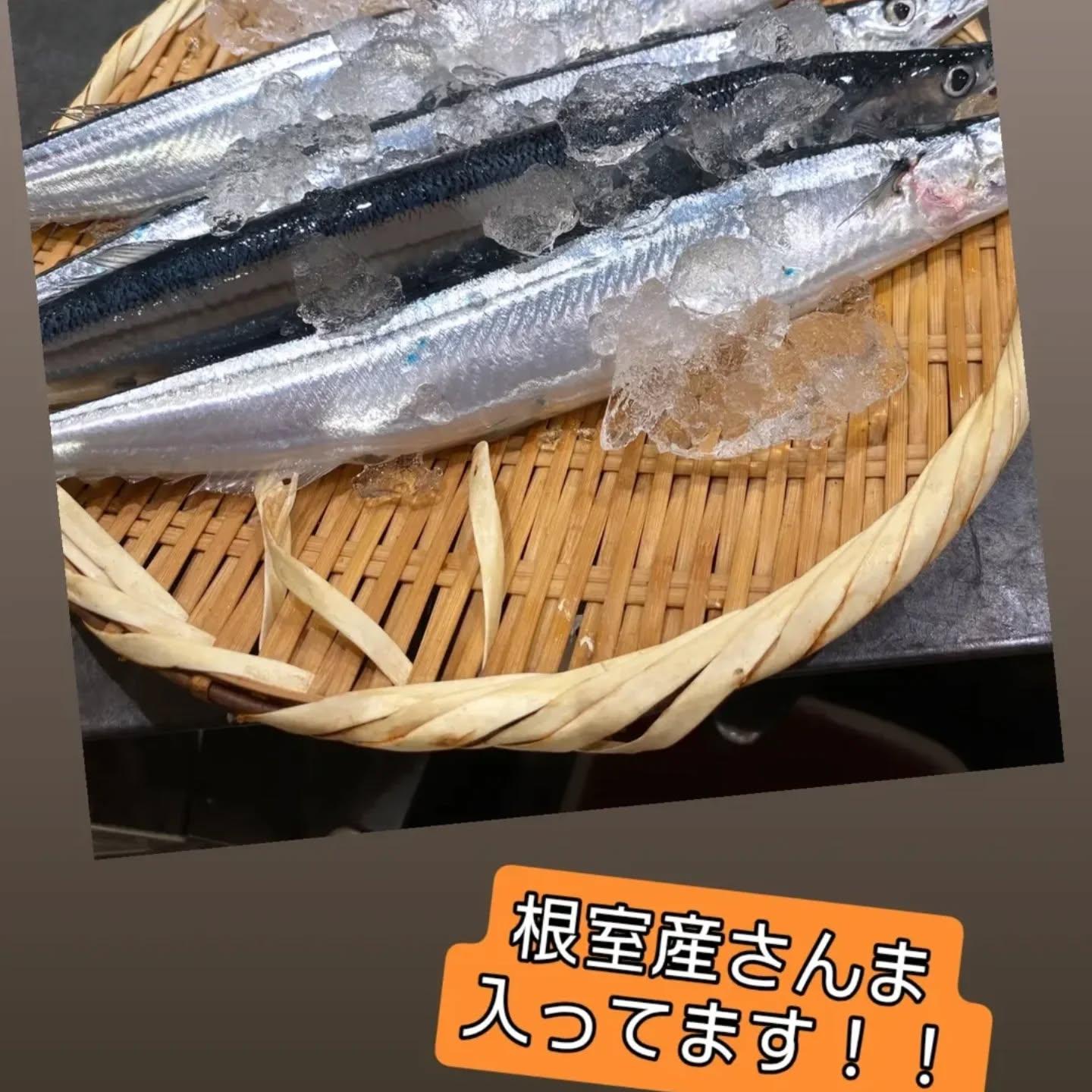 【狸小路×海鮮x忘年会x宴会】《西鶴 狸小路店》restaurants/sushi/omakase/스시/초밥/덴뿌라/…
