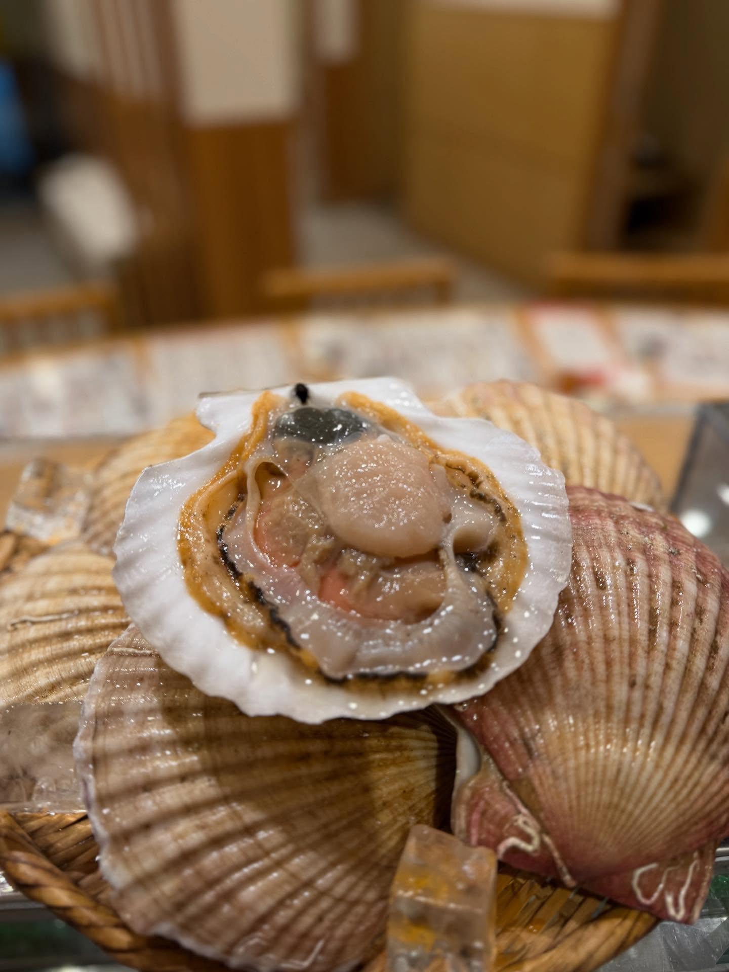 【狸小路×海鮮x新年会x旬の魚】本日のおすすめ「野付産ホタテ」《西鶴 狸小路店》restaurants/sushi/om…